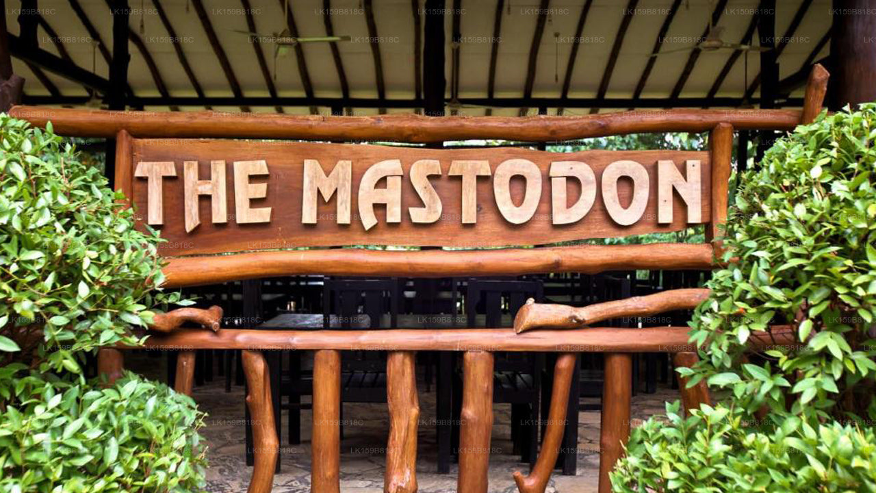 Das Mastodon Valley Safari Resort