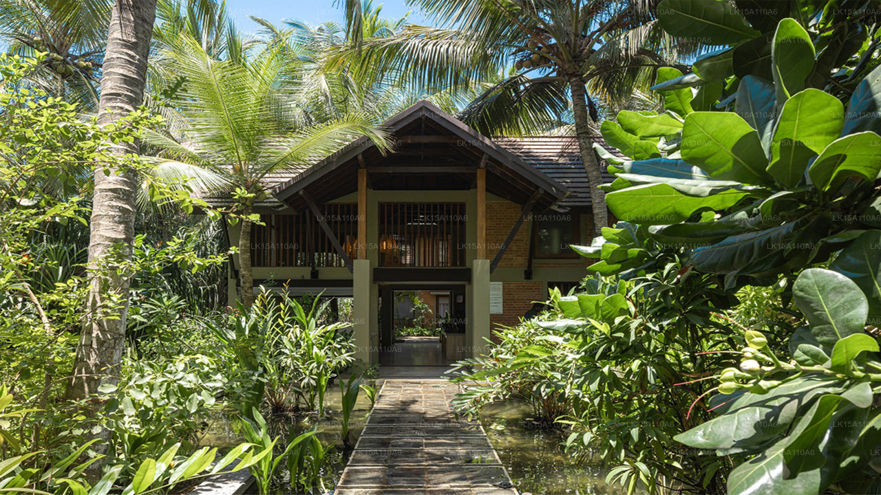 Ayana-Meer, Wadduwa 
