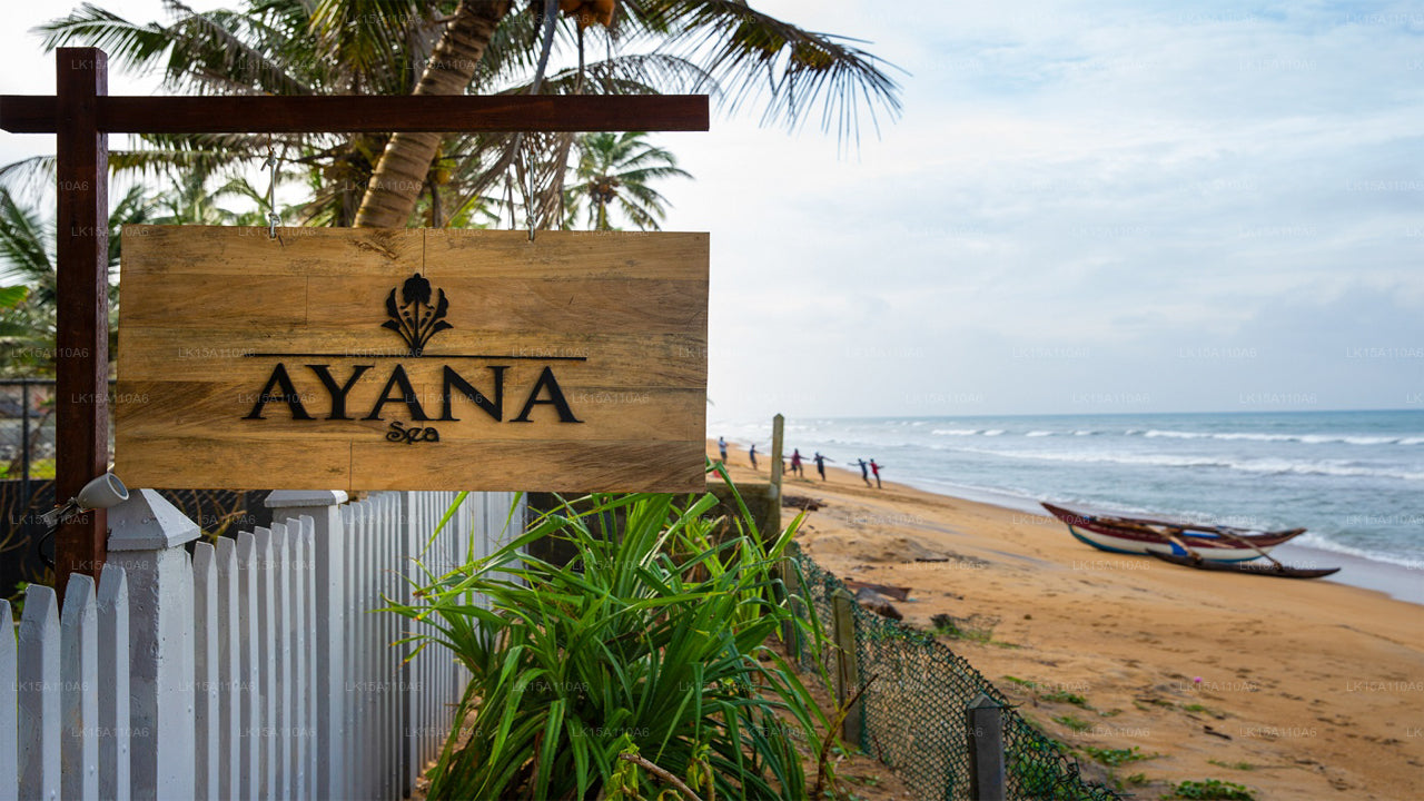 Ayana-Meer, Wadduwa 