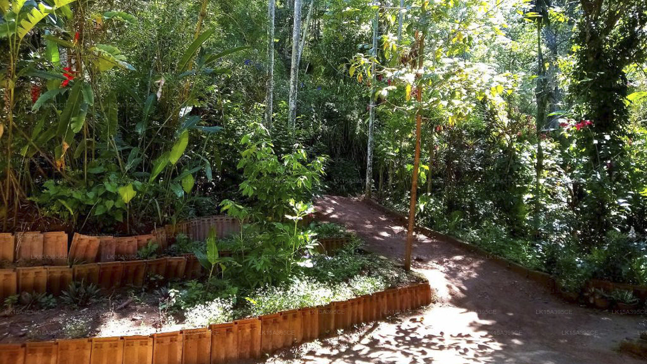 Ella Jungle Inn, Ella 