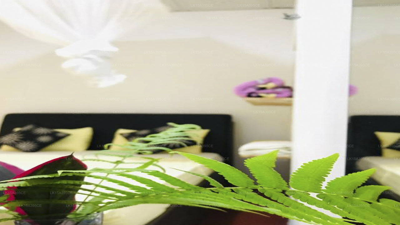 Ella Jungle Inn, Ella 