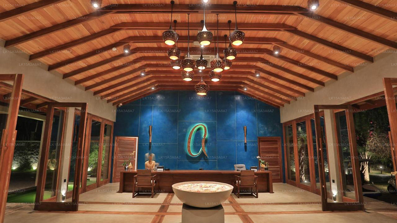 Arie-Lagune, Negombo