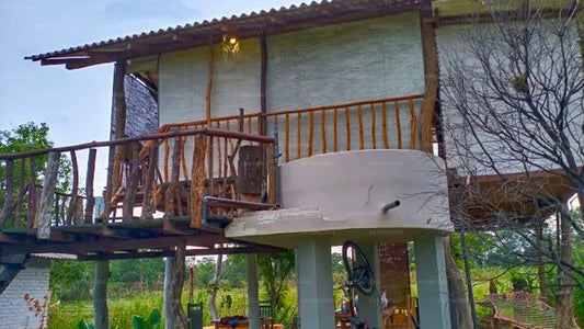 Elefantenbeobachtungshütte Habarana, Trincomalee