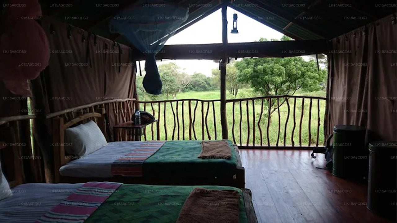 Elefantenbeobachtungshütte Habarana, Trincomalee