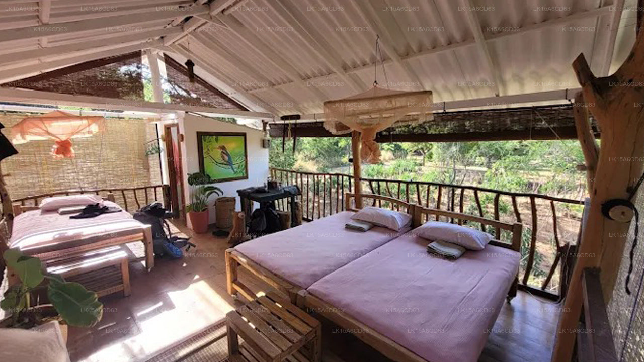 Elefantenbeobachtungshütte Habarana, Trincomalee
