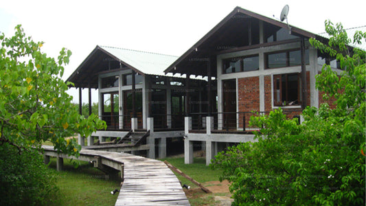 Lagunen-Cabanas Panama, Arugam Bay