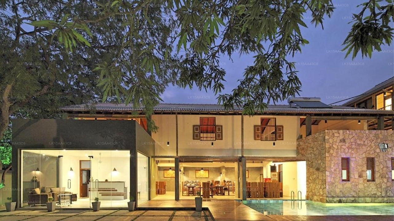 Elefantenpfad, Udawalawe