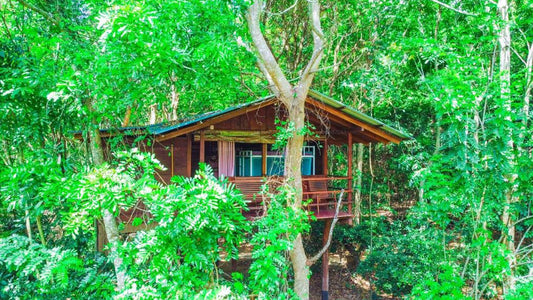 Jungle Host Hostel und Baumhaus, Sigiriya