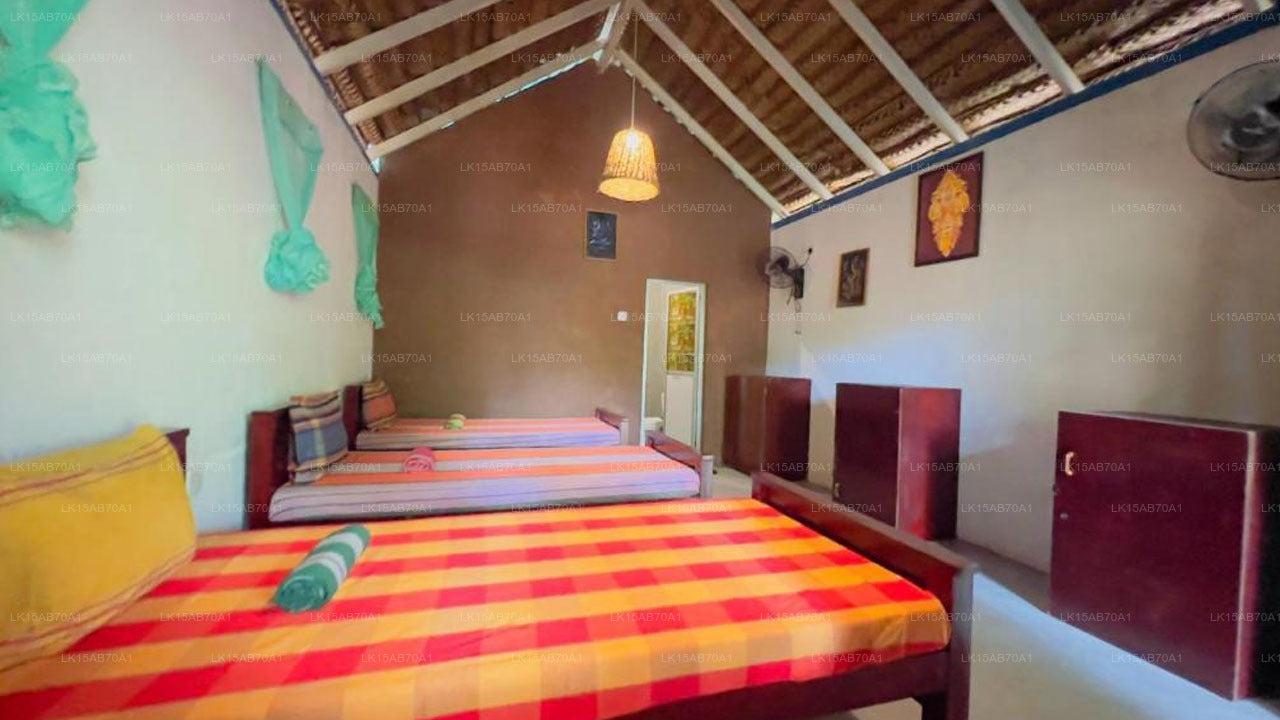 Jungle Host Hostel und Baumhaus, Sigiriya