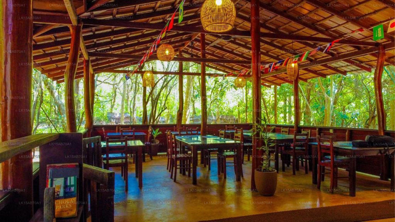 Jungle Host Hostel und Baumhaus, Sigiriya