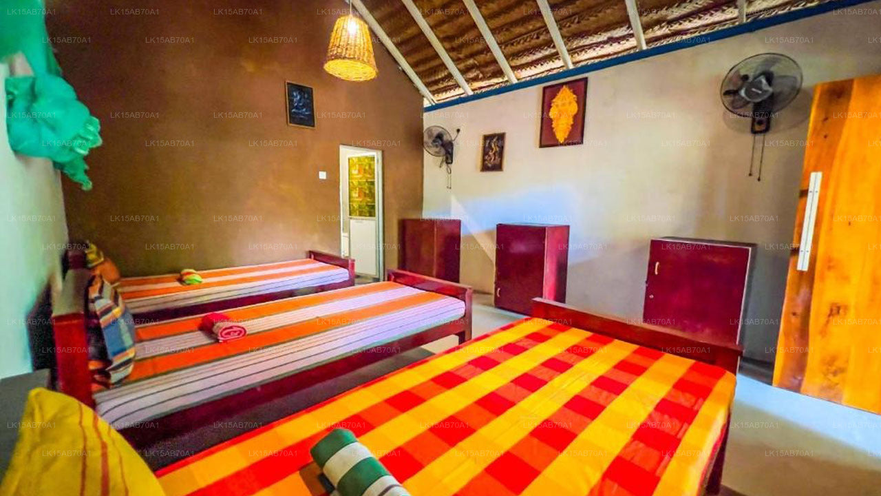 Jungle Host Hostel und Baumhaus, Sigiriya