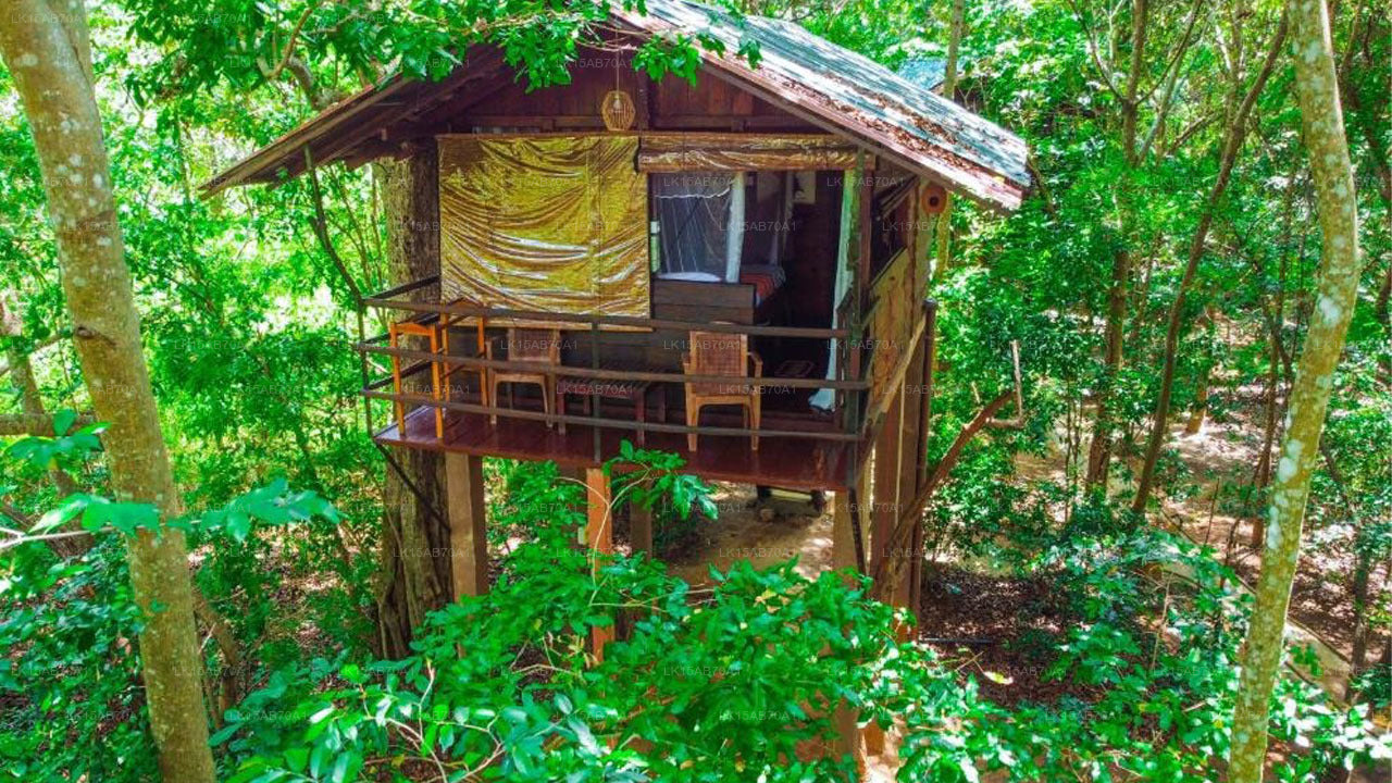 Jungle Host Hostel und Baumhaus, Sigiriya
