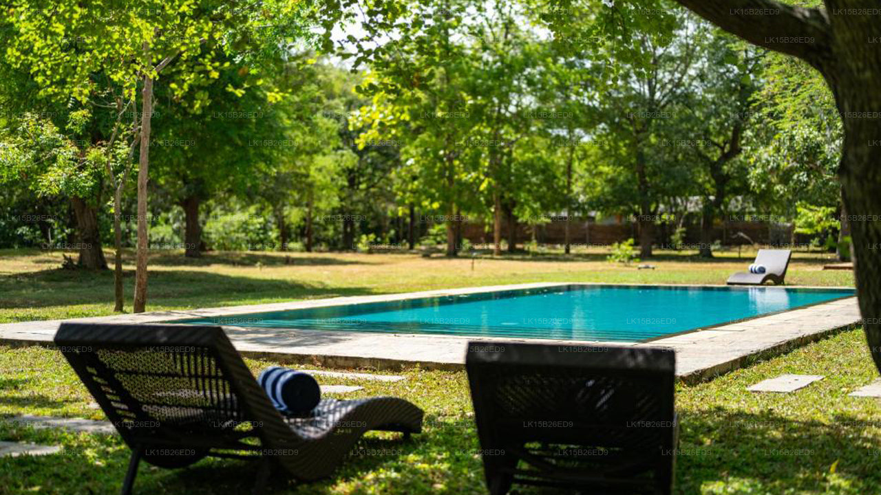 Das Haus des Aufsehers, Katharagama