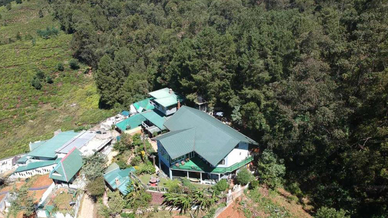 Misty Mountain Villen