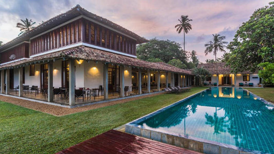 Der Frangipani-Baum von Edwards Collection