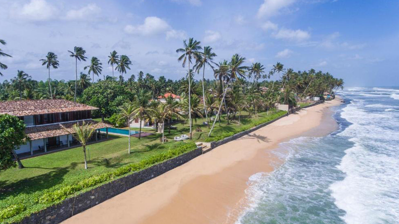 Der Frangipani-Baum von Edwards Collection