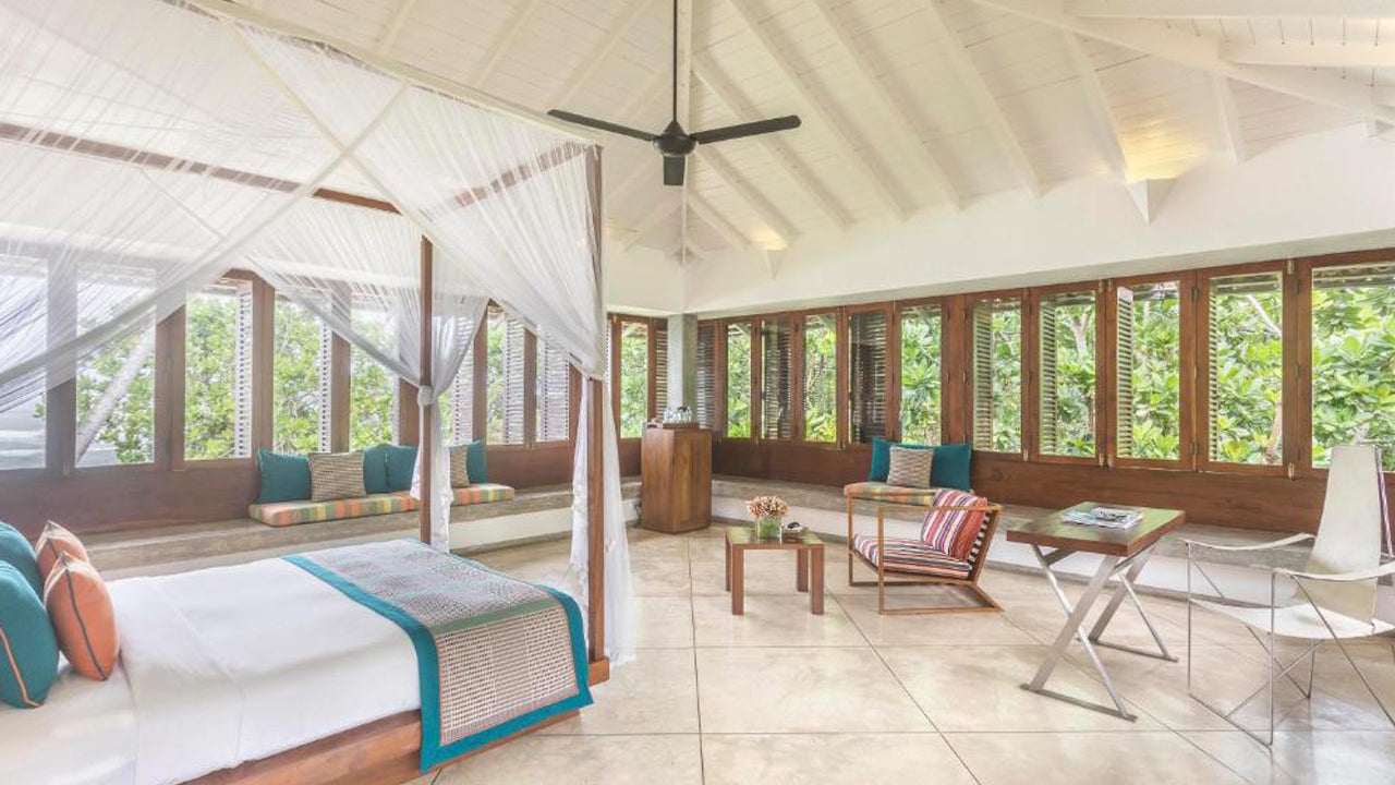 Der Frangipani-Baum von Edwards Collection