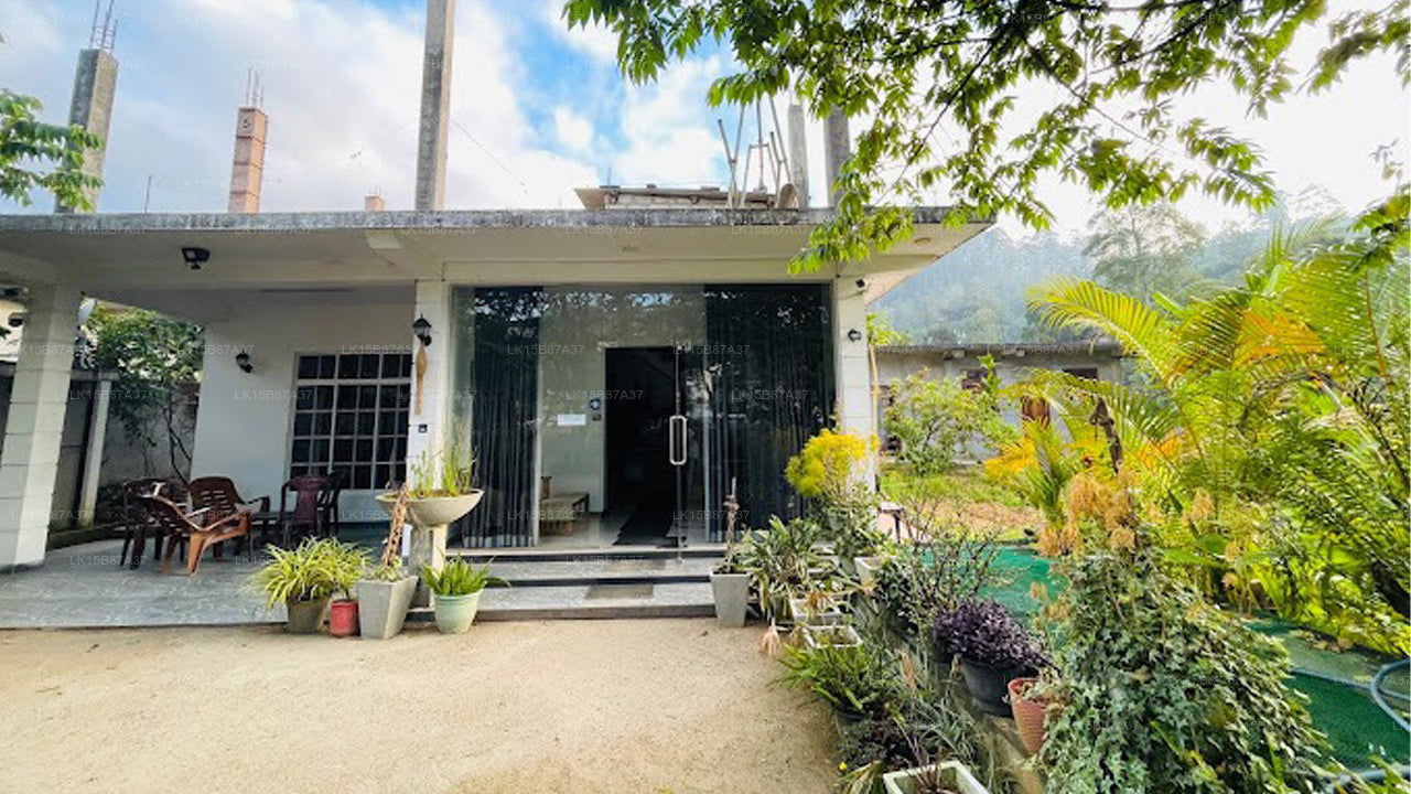 Walbeobachtung von Weligama aus