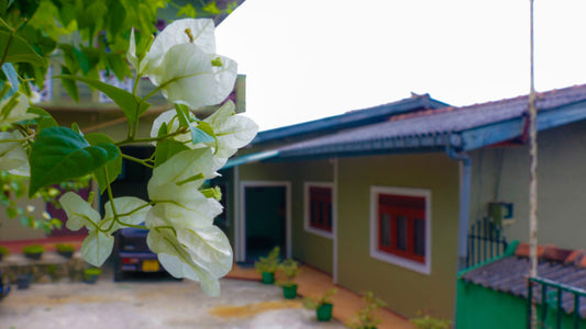 Mount Rose Ferienbungalow Kandy