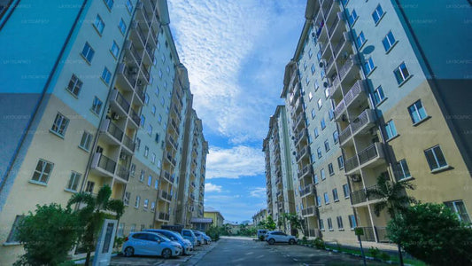 Seabreeze Wohnung, Galle