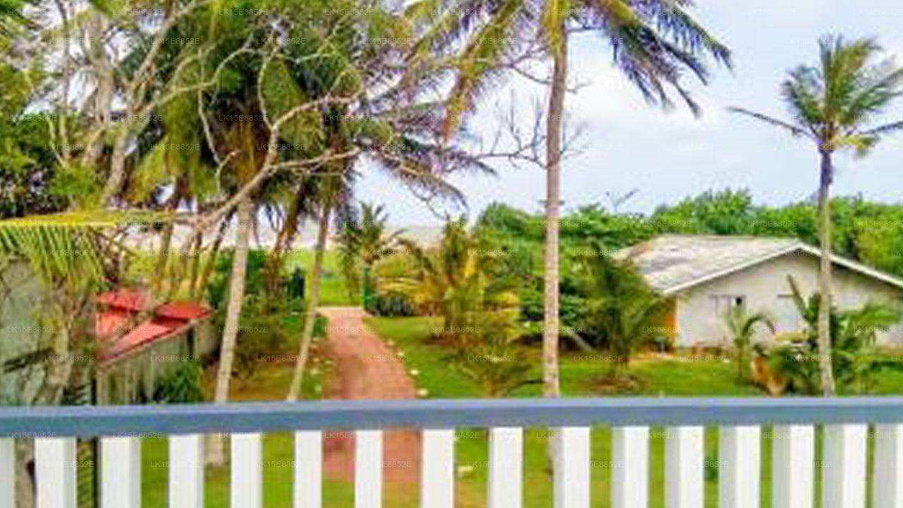 Freiheit mit Meeresbrise