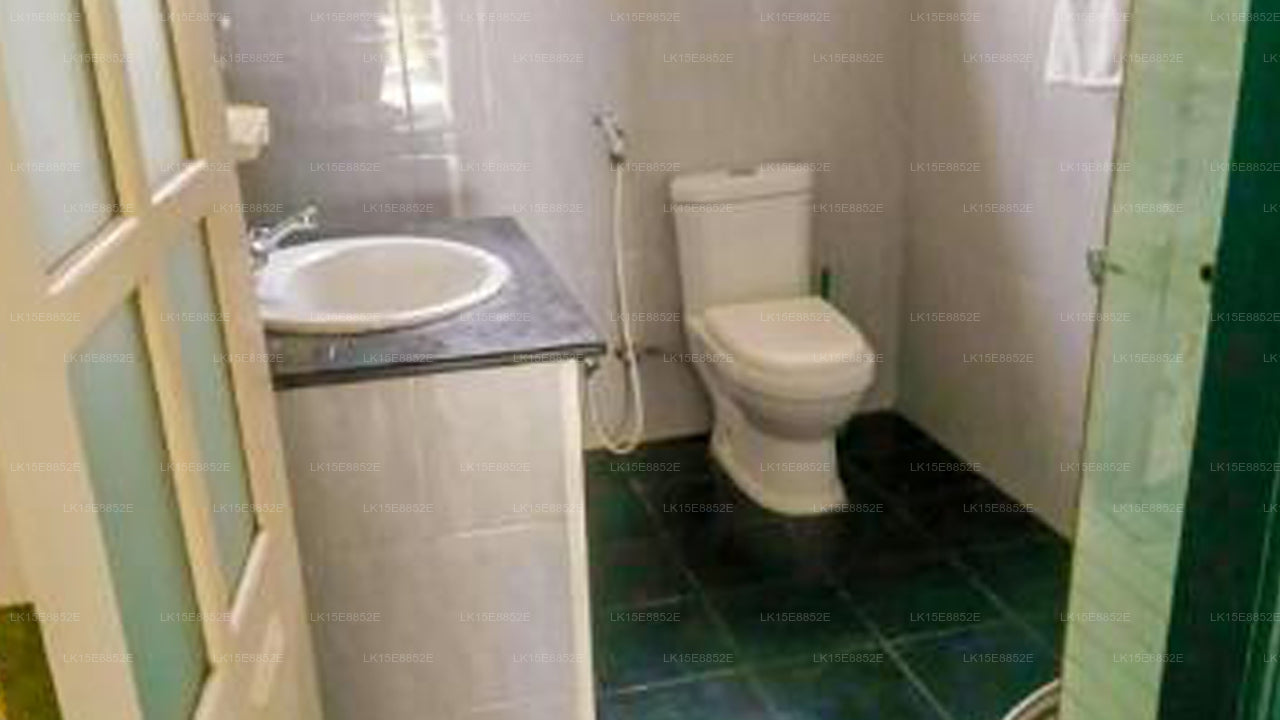 Freiheit mit Meeresbrise