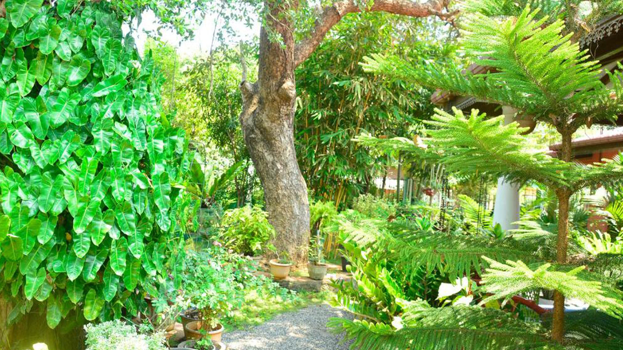 Living Inn Polonnaruwa