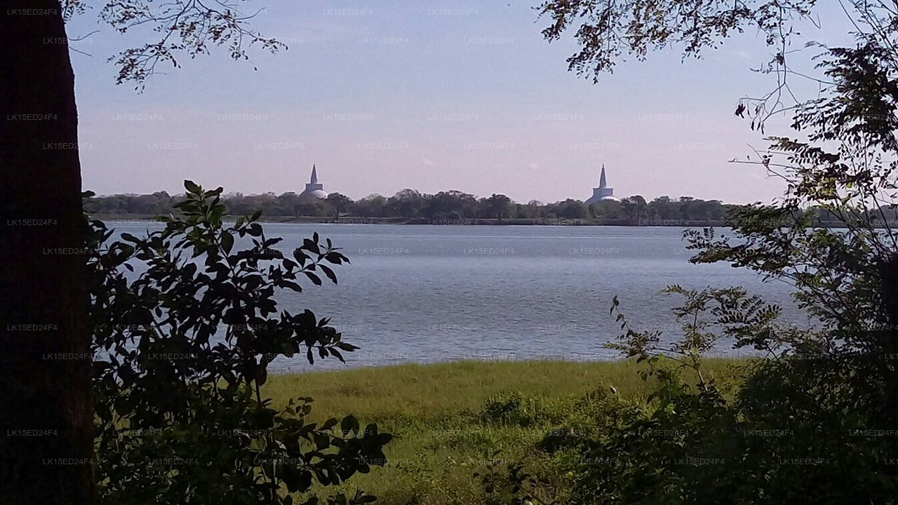Blick auf den Heritage Lake, Anuradhapura
