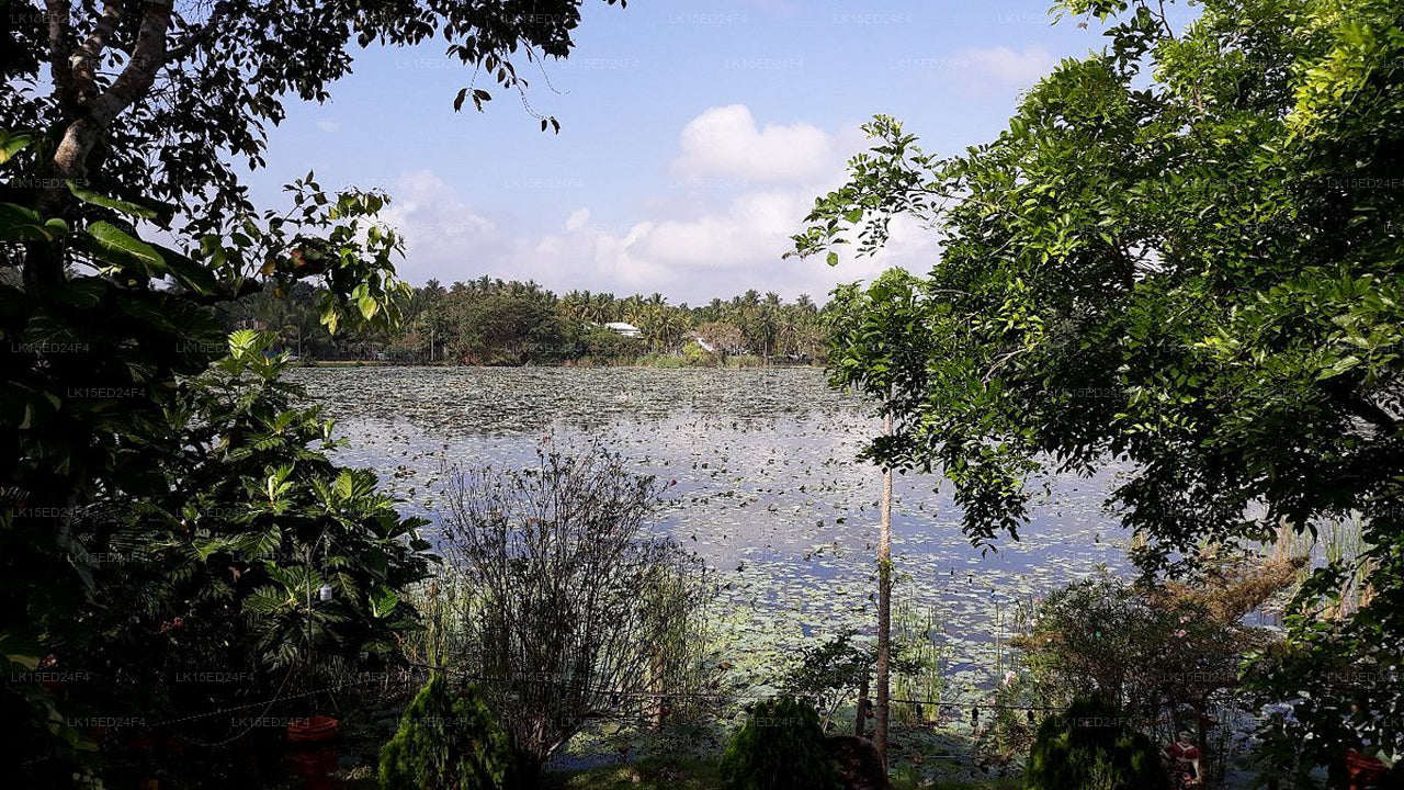 Blick auf den Heritage Lake, Anuradhapura