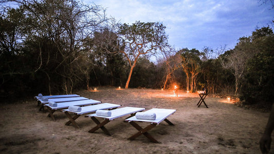 Topan Yala – Luxus-Zeltsafari