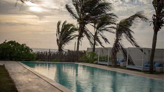 Tanzender Delfin, Kalpitiya