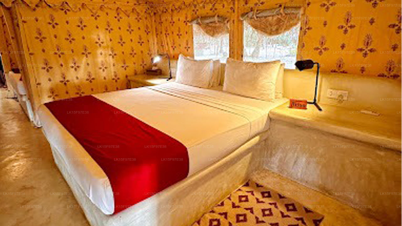 Tanzender Delfin, Kalpitiya