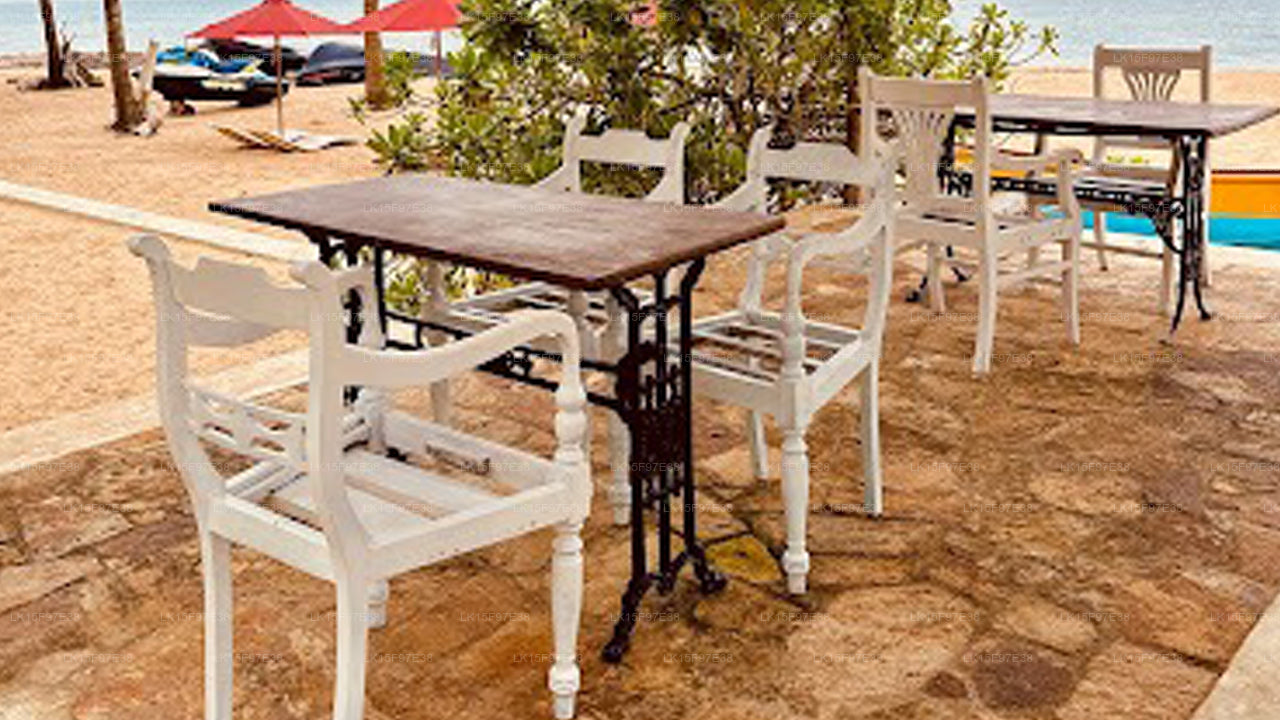 Tanzender Delfin, Kalpitiya