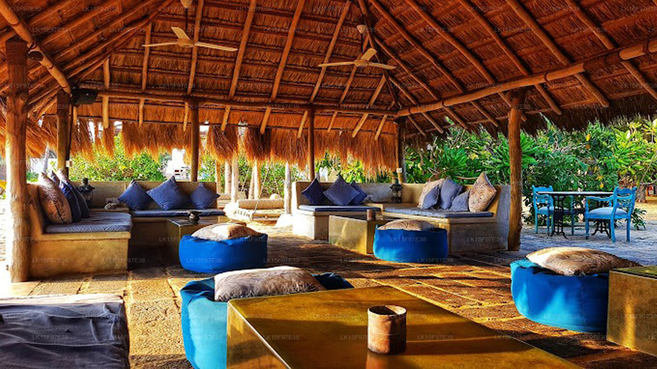 Tanzender Delfin, Kalpitiya