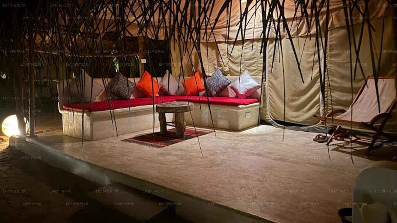 Tanzender Delfin, Kalpitiya