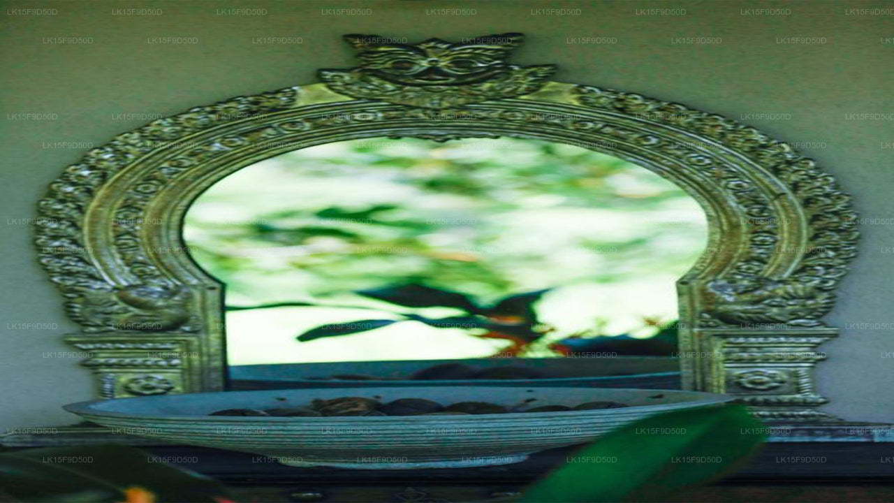 Ginganga Lodge, Galle 