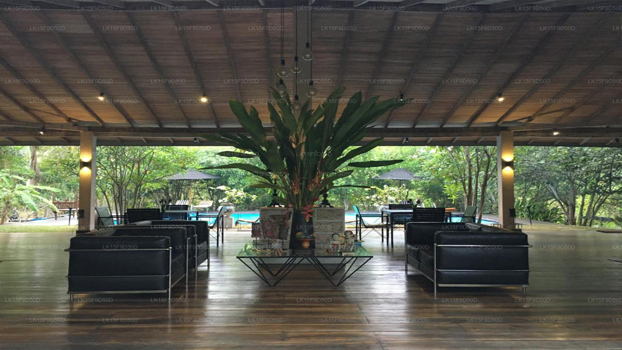 Ginganga Lodge, Galle 