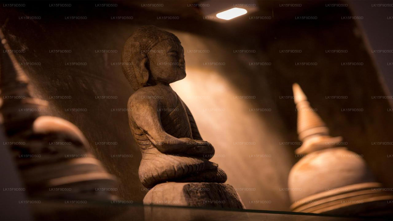 Ginganga Lodge, Galle 