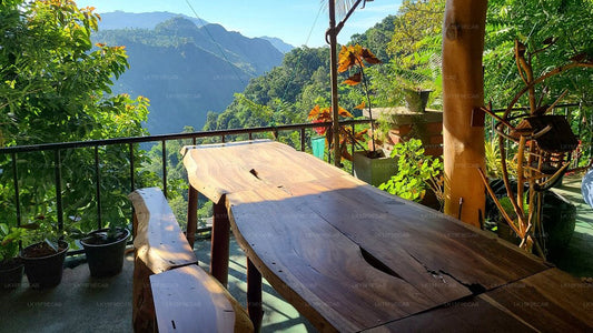 Idylle Gastfamilie, Ella 