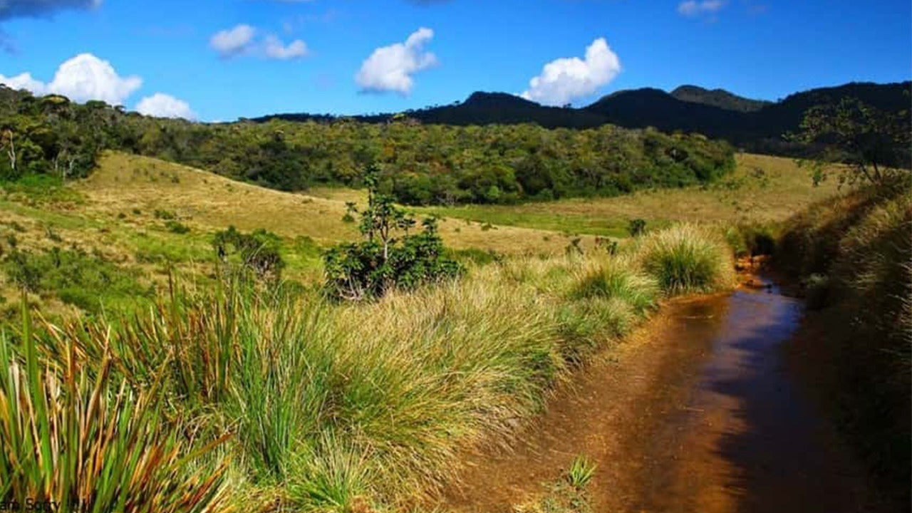 Geführte Tour durch den Horton Plains Nationalpark inklusive Eintrittskarten