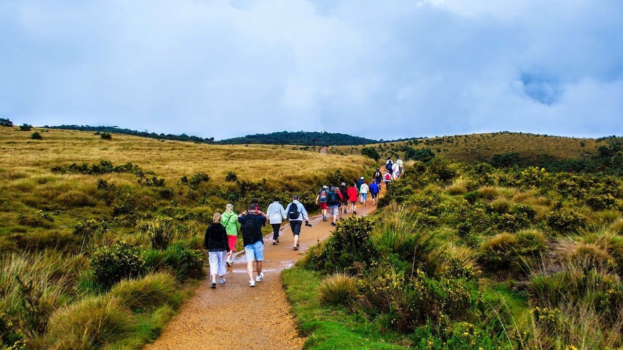Geführte Tour durch den Horton Plains Nationalpark inklusive Eintrittskarten