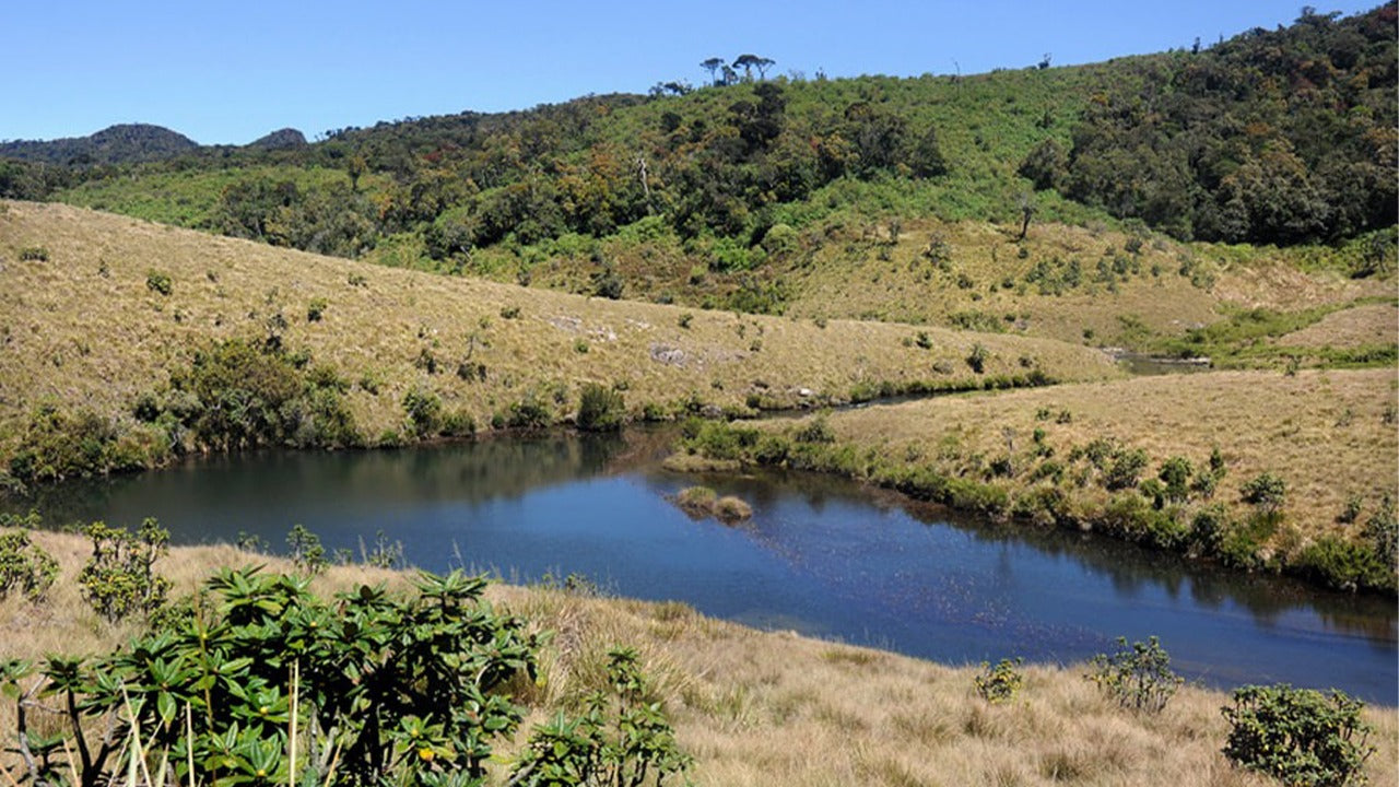 Geführte Tour durch den Horton Plains Nationalpark inklusive Eintrittskarten