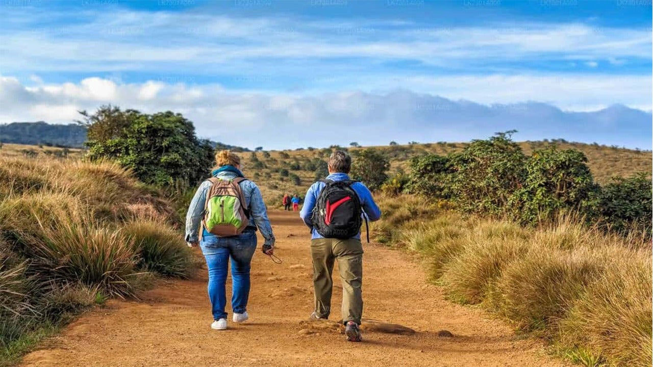 Geführte Tour durch den Horton Plains Nationalpark inklusive Eintrittskarten