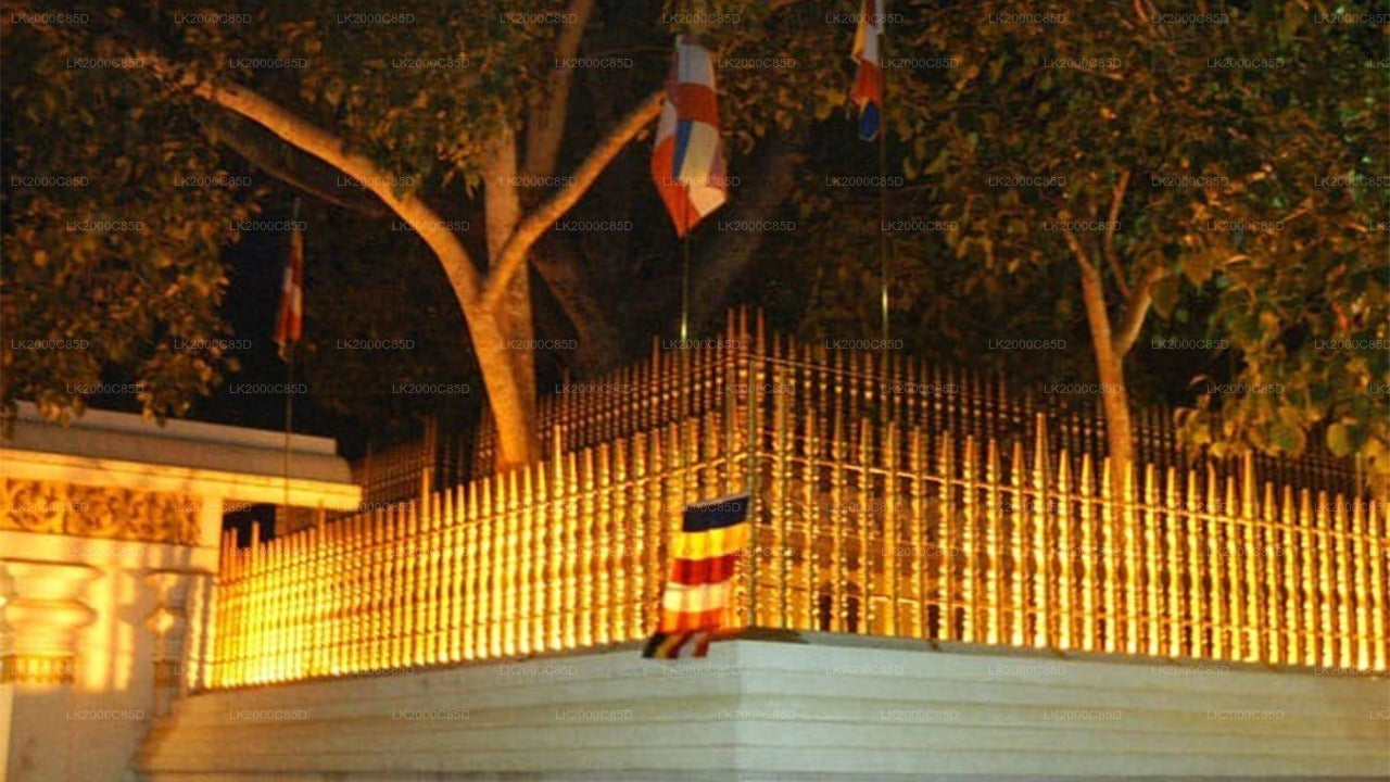 Geführte Tour durch das heilige Gebiet von Anuradhapura inklusive Eintrittskarten