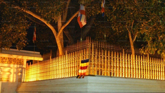 Geführte Tour durch das heilige Gebiet von Anuradhapura inklusive Eintrittskarten