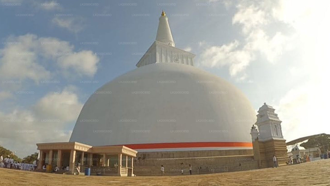 Geführte Tour durch das heilige Gebiet von Anuradhapura inklusive Eintrittskarten