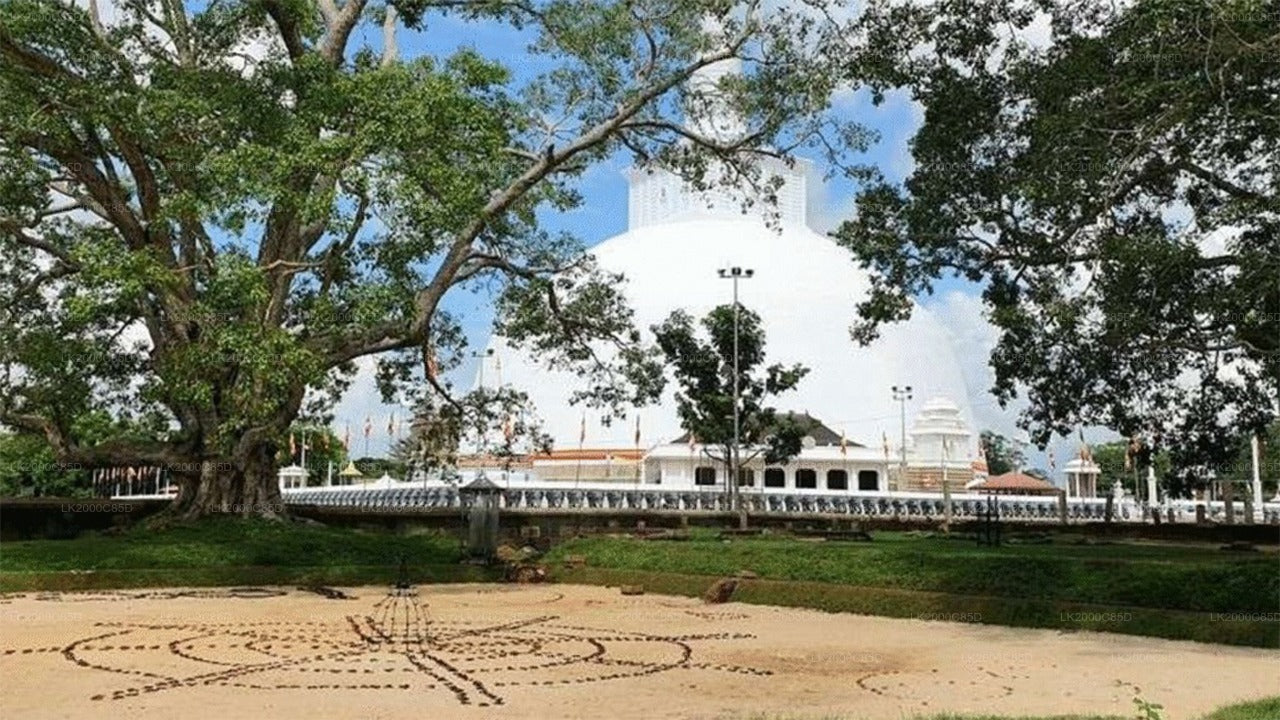 Geführte Tour durch das heilige Gebiet von Anuradhapura inklusive Eintrittskarten