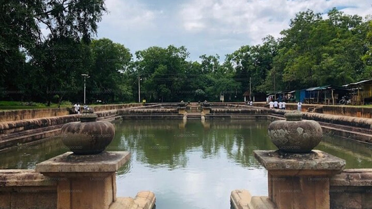 Geführte Tour durch das heilige Gebiet von Anuradhapura inklusive Eintrittskarten