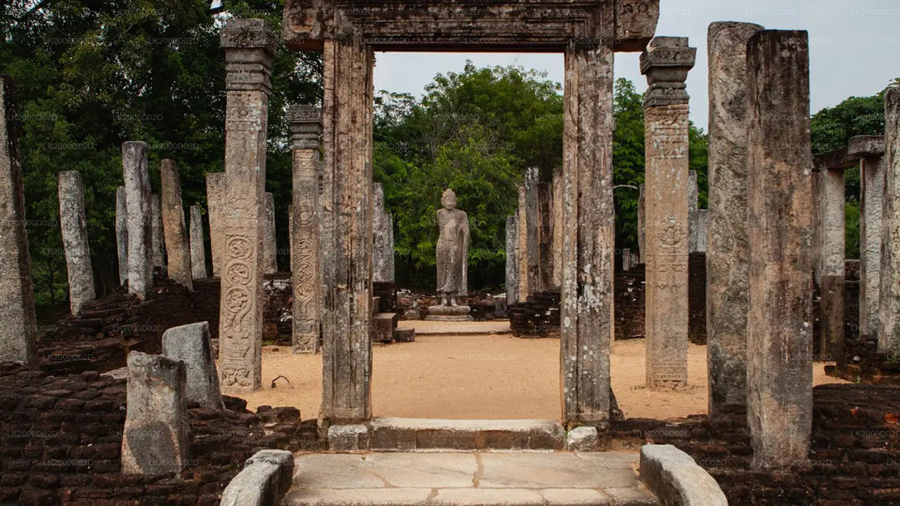 Geführte Stadtbesichtigung der Altstadt von Polonnaruwa inklusive Eintrittskarten