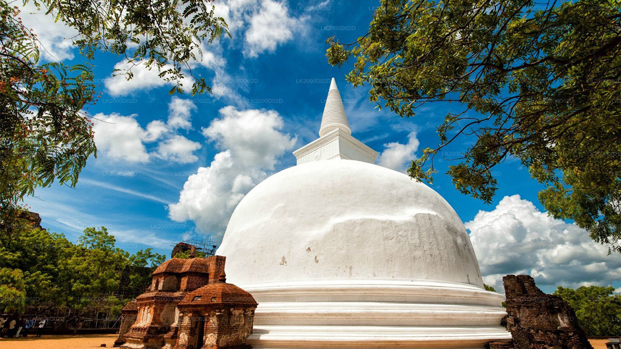 Geführte Stadtbesichtigung der Altstadt von Polonnaruwa inklusive Eintrittskarten
